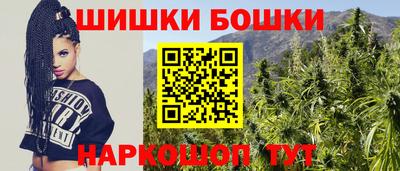 стаф Моздок