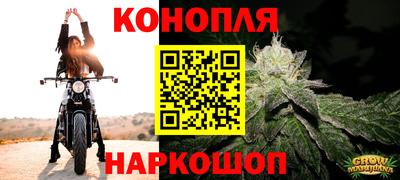 СК Можга