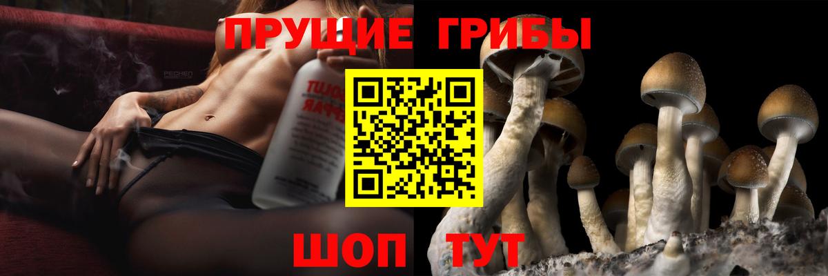 Галлюциногенные грибы MAGIC MUSHROOMS Азов